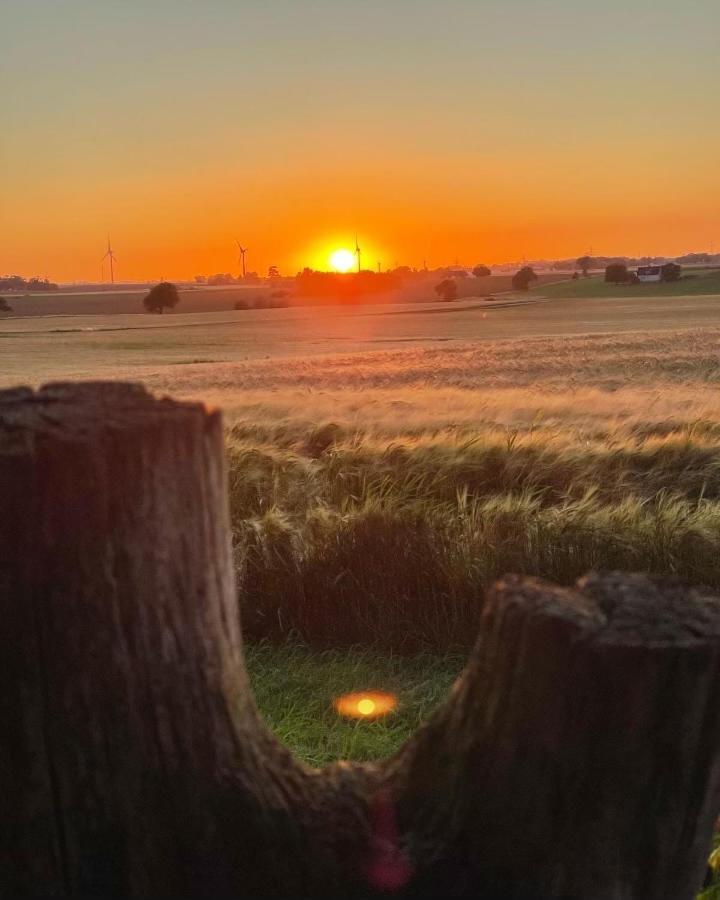 Hammenhoegs Gaestgivaregard Bagian luar foto