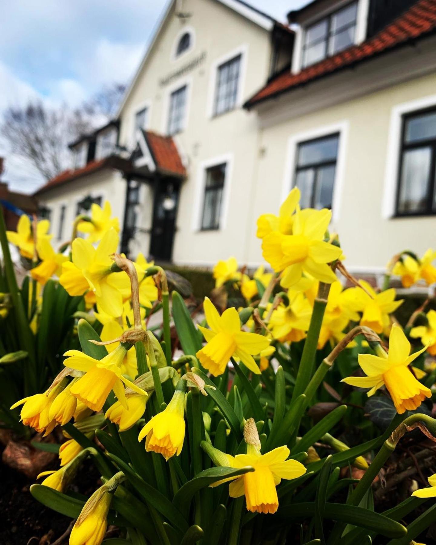 Hammenhoegs Gaestgivaregard Bagian luar foto